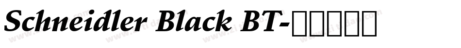 Schneidler Black BT字体转换